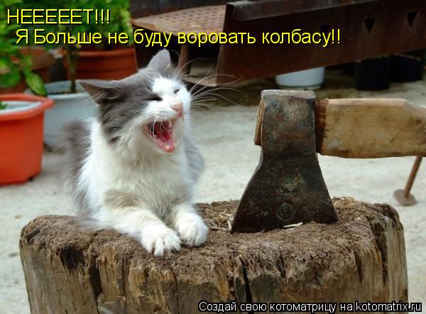 Котоматрица: НЕЕЕЕЕТ!!!  Я Больше не буду воровать колбасу!!