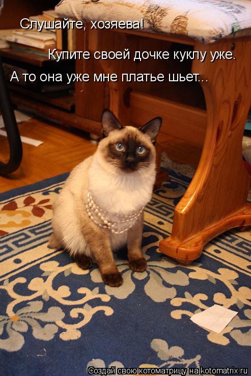 Котоматрица: Слушайте, хозяева!  Купите своей дочке куклу уже. А то она уже мне платье шьет...