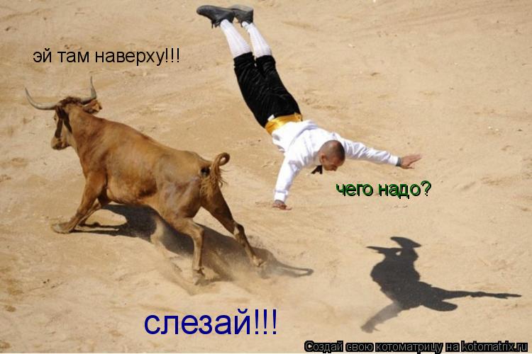 Котоматрица: эй там наверху!!! чего надо? слезай!!!