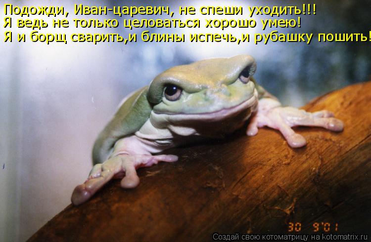 Котоматрица: Подожди, Иван-царевич, не спеши уходить!!! Я ведь не только целоваться хорошо умею! Я и борщ сварить,и блины испечь,и рубашку пошить!