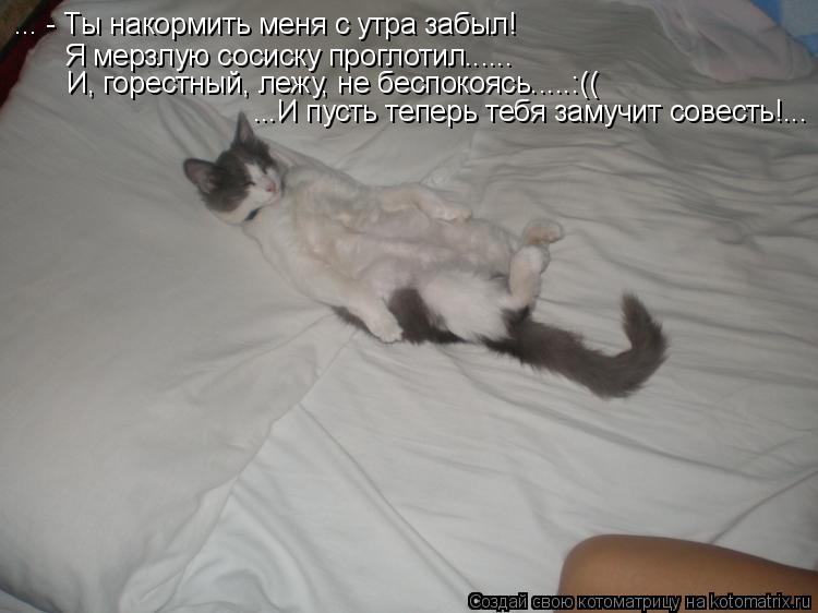 Котоматрица: ... - Ты накормить меня с утра забыл! Я мерзлую сосиску проглотил...... И, горестный, лежу, не беспокоясь.....:(( ...И пусть теперь тебя замучит совес