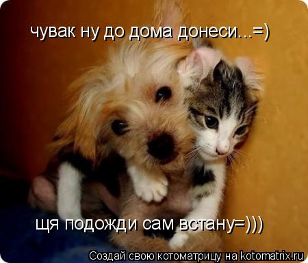 Котоматрица: чувак ну до дома донеси...=) щя подожди сам встану=)))
