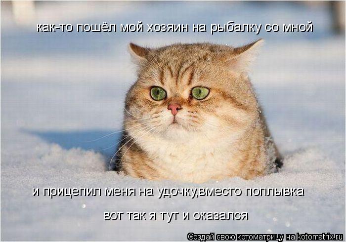 Котоматрица: как-то пошёл мой хозяин на рыбалку со мной и прицепил меня на удочку,вместо поплывка вот так я тут и оказался