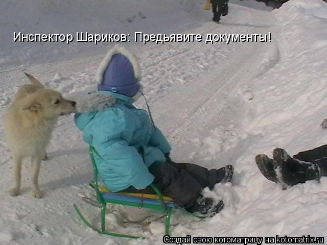 Котоматрица: Инспектор Шариков: Предьявите документы!