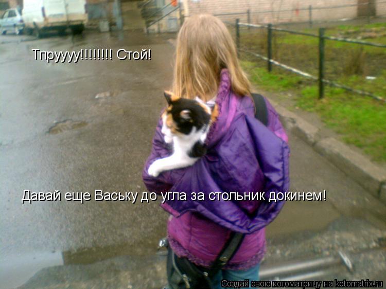 Котоматрица: Тпруууу!!!!!!!! Стой! Давай еще Ваську до угла за стольник докинем!