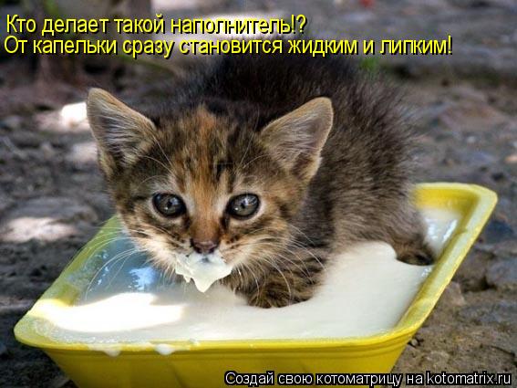 Котоматрица: Кто делает такой наполнитель!? От капельки сразу становится жидким и липким!