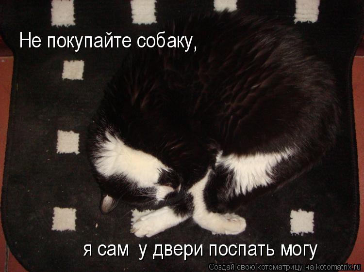Котоматрица: Не покупайте собаку я сам  у двери поспать могу ,