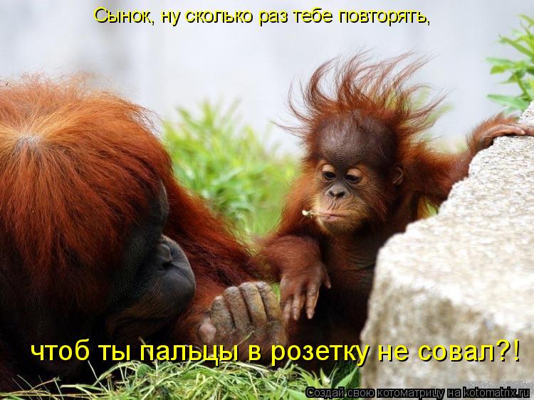 Котоматрица: Сынок, ну сколько раз тебе повторять, чтоб ты пальцы в розетку не совал?!