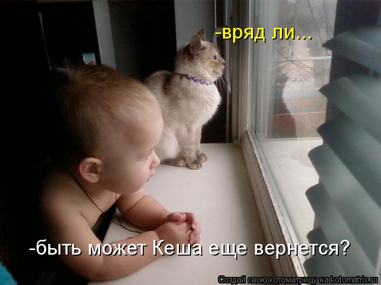 -быть может Кеша еще вернется? -вряд ли...... Котоматрица: -быть может Кеша еще вернется? -вряд ли...