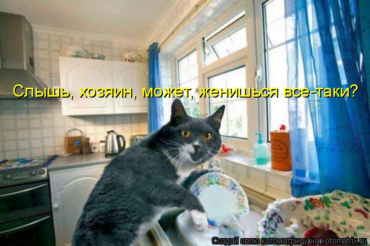 Котоматрица: Слышь, хозяин, может, женишься все-таки?