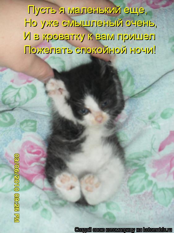Котоматрица: Пусть я маленький еще,  Но уже смышленый очень, И в кроватку к вам пришел Пожелать спокойной ночи!