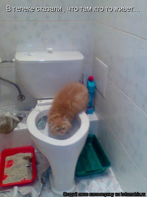 Котоматрица: В телеке сказали , что там кто то живет....