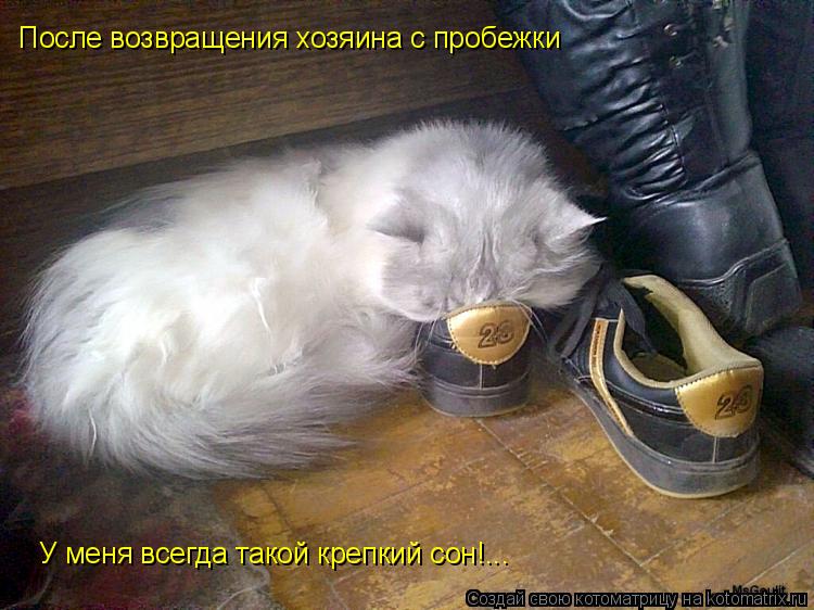 Котоматрица: После возвращения хозяина с пробежки У меня всегда такой крепкий сон!...