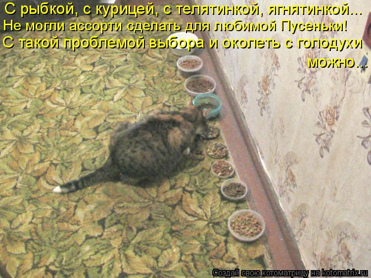 Котоматрица: С рыбкой, с курицей, с телятинкой, ягнятинкой... Не могли ассорти сделать для любимой Пусеньки! С такой проблемой выбора и околеть с голодухи 