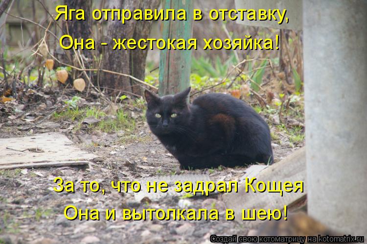Котоматрица: Яга отправила в отставку, Она - жестокая хозяйка! За то, что не задрал Кощея Она и вытолкала в шею!