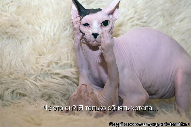Котоматрица: Чё это он?!Я только обнять хотела...