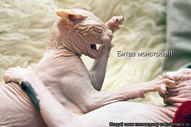 Котоматрица: Битва монстров!!!
