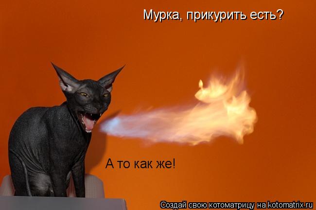 Котоматрица: Мурка, прикурить есть? А то как же!