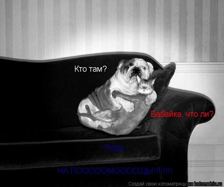 Котоматрица: Кто там?  Бабайка, что ли? Тогда НА ПОООООМООООЩЬ!!!!!!!!!
