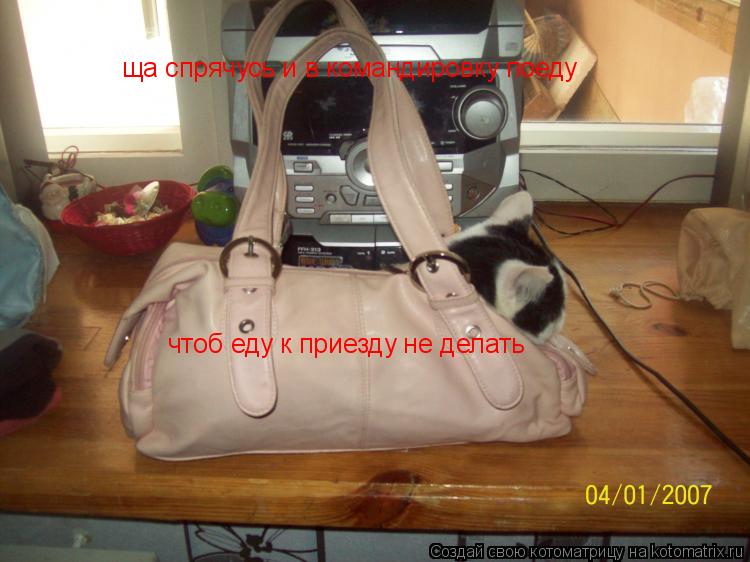 Котоматрица: ща спрячусь и в командировку поеду чтоб еду к приезду не делать