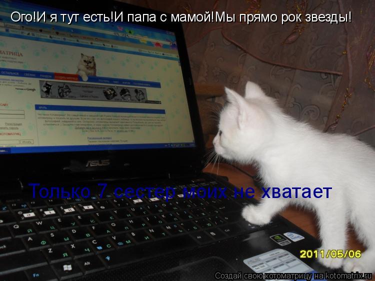 Котоматрица: Ого!И я тут есть!И папа с мамой!Мы прямо рок звезды! Только 7 сестер моих не хватает