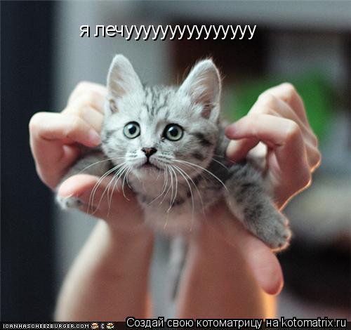 Котоматрица: я лечууууууууууууууу