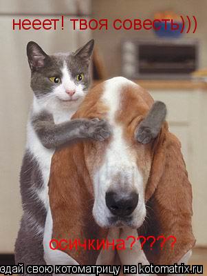 Котоматрица: осичкина????? нееет! твоя совесть)))