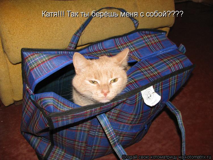 Котоматрица: Катя!!! Так ты берёшь меня с собой???? Катя!!! Так ты берёшь меня с собой????