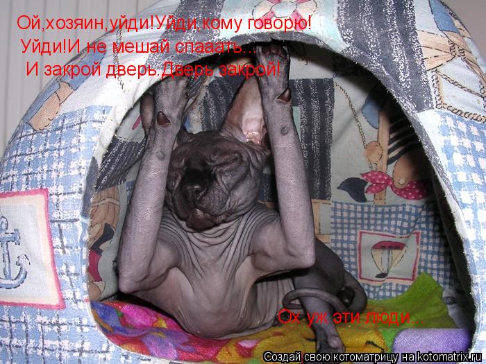 Котоматрица: Ой,хозяин,уйди!Уйди,кому говорю! Уйди!И не мешай спааать... И закрой дверь.Дверь закрой! Ох уж эти люди...