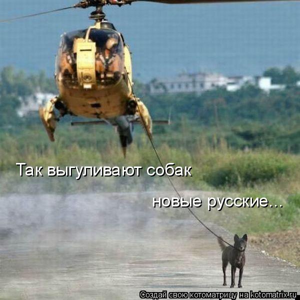 Котоматрица: Так выгуливают собак  новые русские...