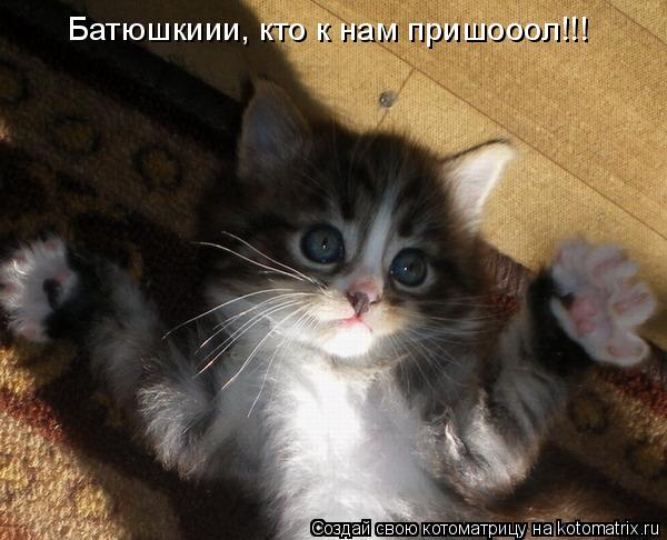 Котоматрица: Батюшкиии, кто к нам пришооол!!!