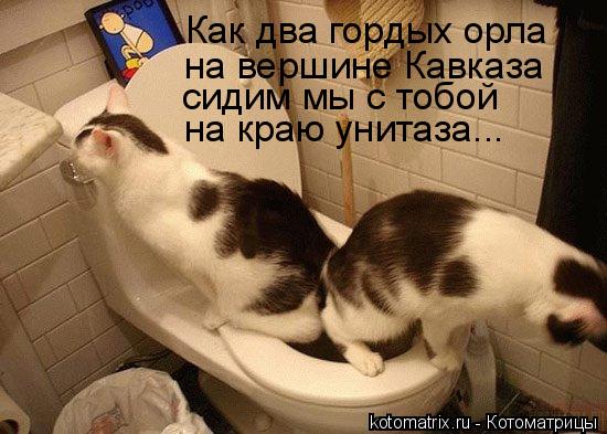 Котоматрица: Как два гордых орла на вершине Кавказа сидим мы с тобой  на краю унитаза...
