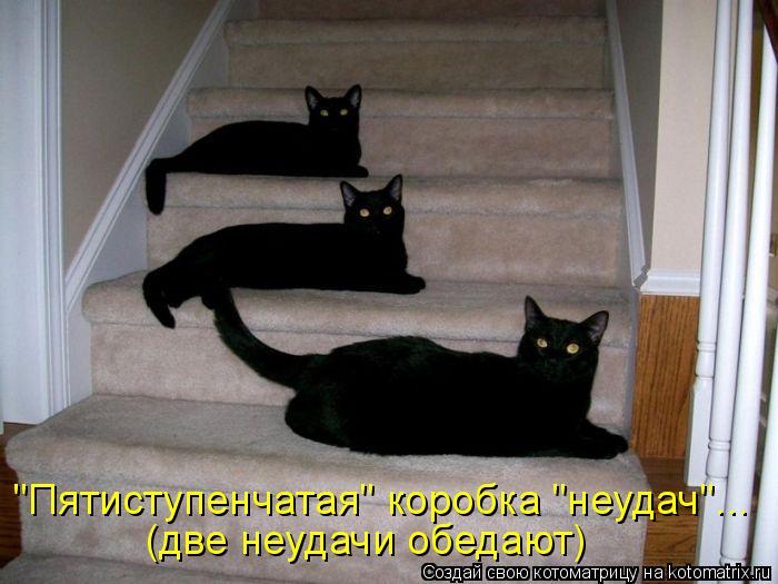 Котоматрица: "Пятиступенчатая" коробка "неудач"... (две неудачи обедают)