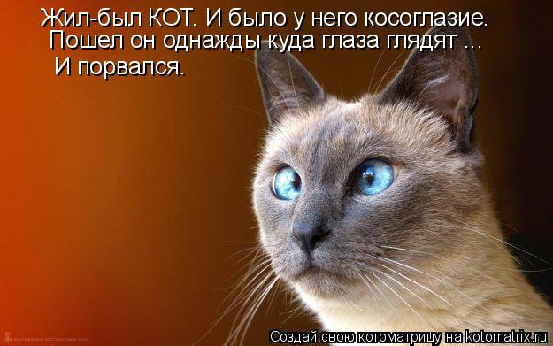 Котоматрица: Жил-был КОТ. И было у него косоглазие.  Пошел он однажды куда глаза глядят ... И порвался.