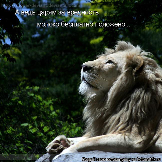 Котоматрица: А ведь царям за вредность  молоко бесплатно положено...