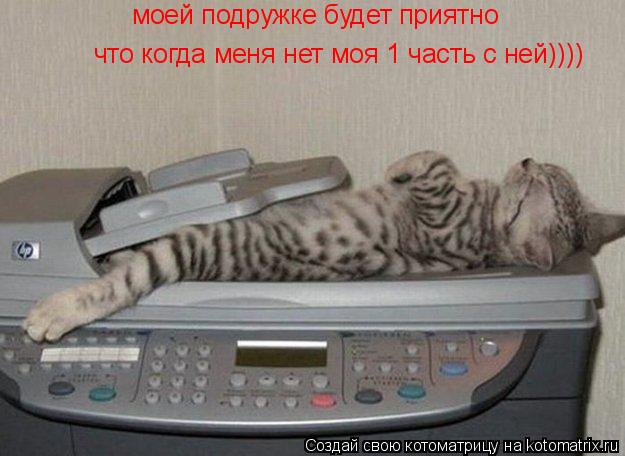 Котоматрица: моей подружке будет приятно моей подружке будет приятно что когда меня нет моя 1 часть с ней))))