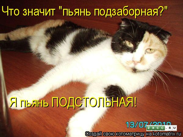 Котоматрица: Что значит "пьянь подзаборная?" Я пьянь ПОДСТОЛЬНАЯ!