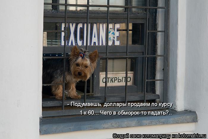 Котоматрица: - Подумаешь, доллары продаем по курсу 1 к 60... Чего в обморок-то падать?..