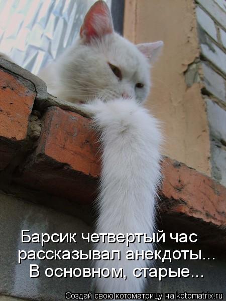 Барсик четвертый час рассказывал анекдоты... В основном, старые...... Котоматрица: Барсик четвертый час рассказывал анекдоты... В основном, старые...