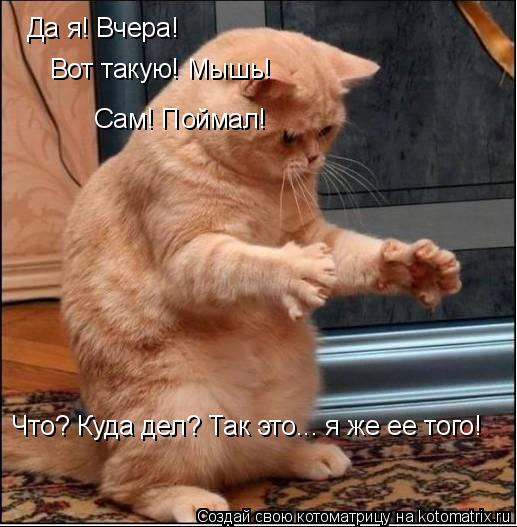 Котоматрица: Да я! Вчера! Вот такую! Мышь! Сам! Поймал! Что? Куда дел? Так это... я же ее того!