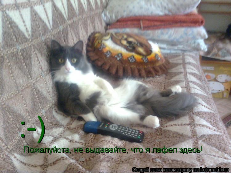 Котоматрица: Пожалуйста, не выдавайте, что я лафел здесь! :-)