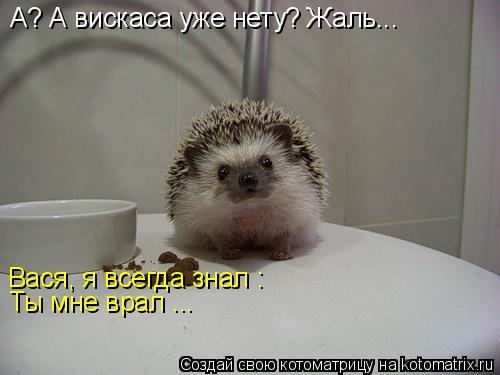 Котоматрица: Жаль,вискаса нет.  А? А вискаса уже нету? Жаль... Вася, я всегда знал :  Ты мне врал ...