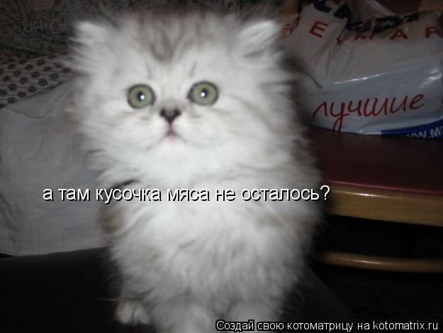 Котоматрица: а там кусочка мяса не осталось?