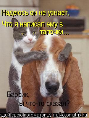 Котоматрица: Надеюсь он не узнает, Что я написал ему в  тапочки... -Барсик, ты что-то сказал?