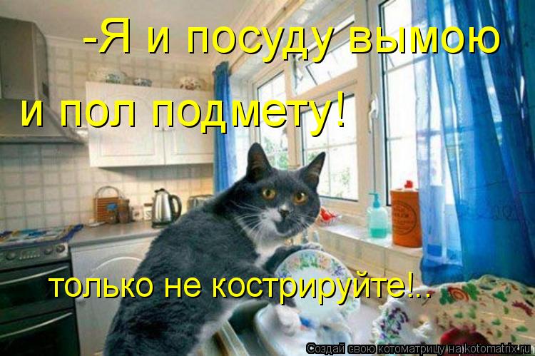 Котоматрица: -Я и посуду вымою и пол подмету! только не кострируйте!..
