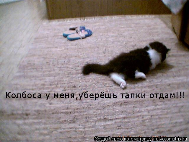 Котоматрица: Колбоса у меня,уберёшь тапки отдам!!!