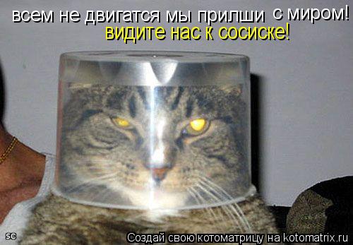 Котоматрица: всем не двигатся мы прилши с миром! видите нас к сосиске!