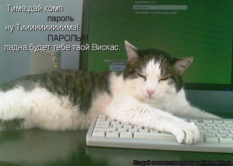 Котоматрица: Тима,дай комп  пароль ну Тиииииииииима! ПАРОЛЬ!!! ладна,будет тебе твой Вискас.