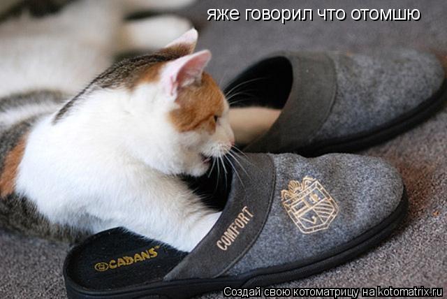 Котоматрица: яже говорил что отомшю