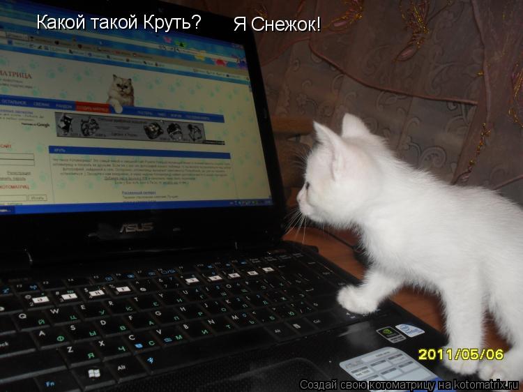 Котоматрица: Какой такой Круть? Я Снежок!
